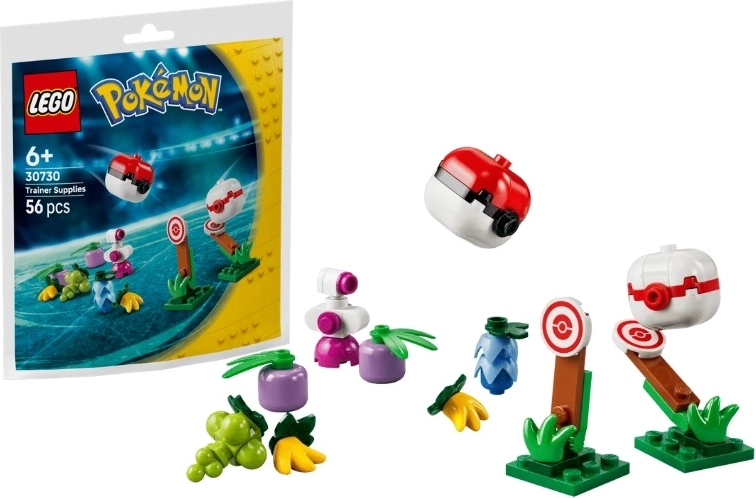 Équipement de dresseur LEGO Pokémon