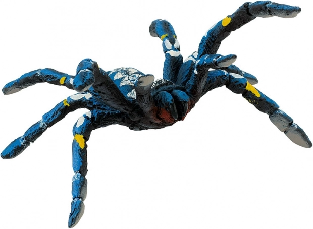 Tarantule bleue