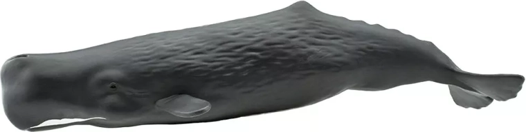 Figurine de cachalot Safari Ltd. - 1 pièce