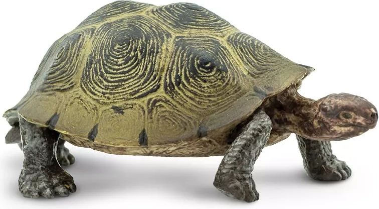 Safari Ltd. figurine de tortue du désert