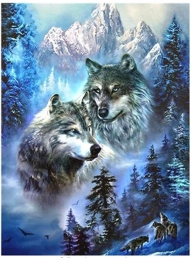 Peinture diamant – deux loups dans les montagnes 30 × 40 cm