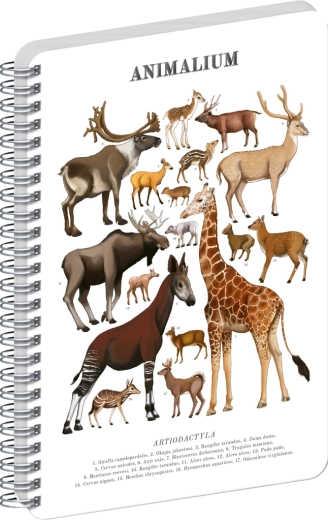 Bloc-notes spiralé Notique Animalium – ongulés, pages blanches, A4
