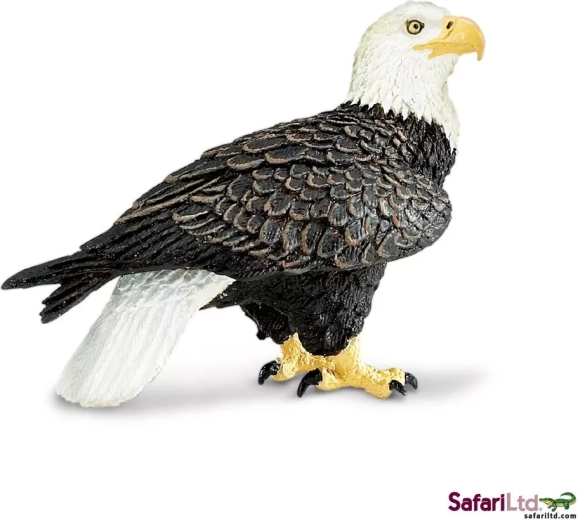 Safari Ltd. pygargue à tête blanche