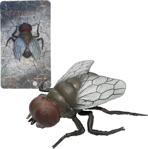Nature vivante House Fly – modèle réaliste de mouche 11,5 cm