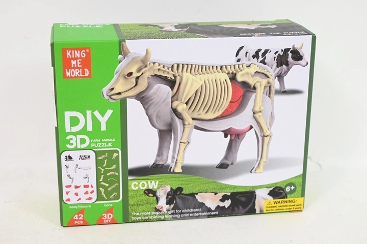 Modèle anatomique de vache pour enfants