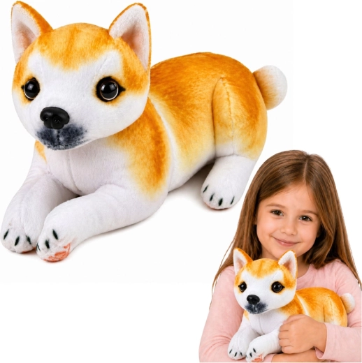 Peluche chien Shiba Inu 25 cm