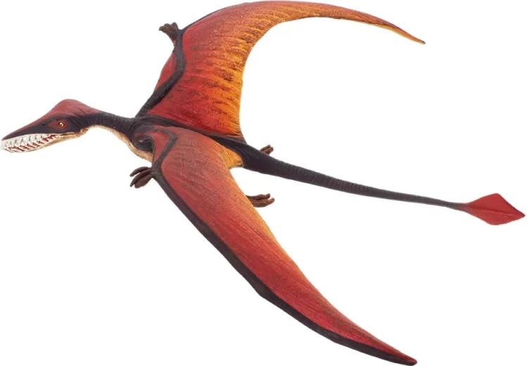 Safari Ltd. ramphorhynchus - 1 pièce