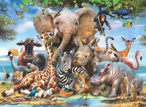 Puzzle ANATOLIAN – Sourire africain, 1000 pièces