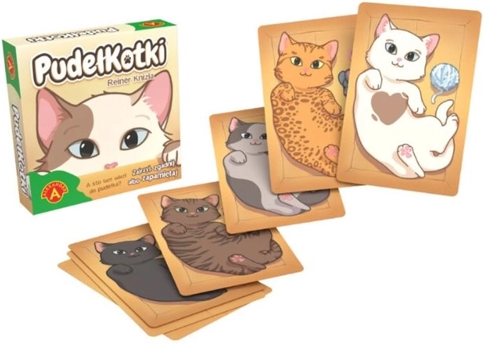 Boîtes à minous – jeu de mémoire de voyage en cartes
