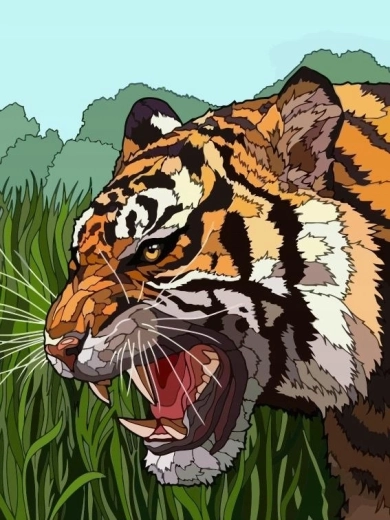 Peinture par numéros tigre rugissant dans l’herbe 40 × 50 cm