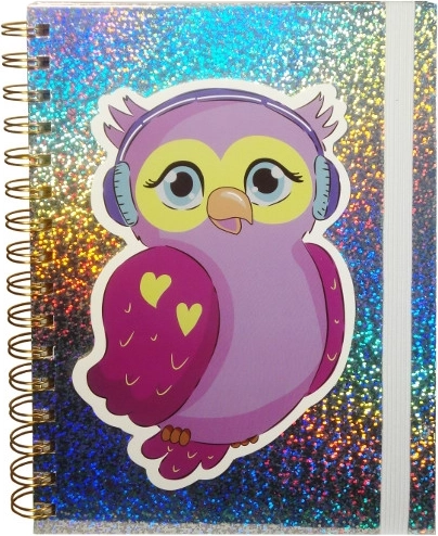 Journal holographique avec chouette et élastique