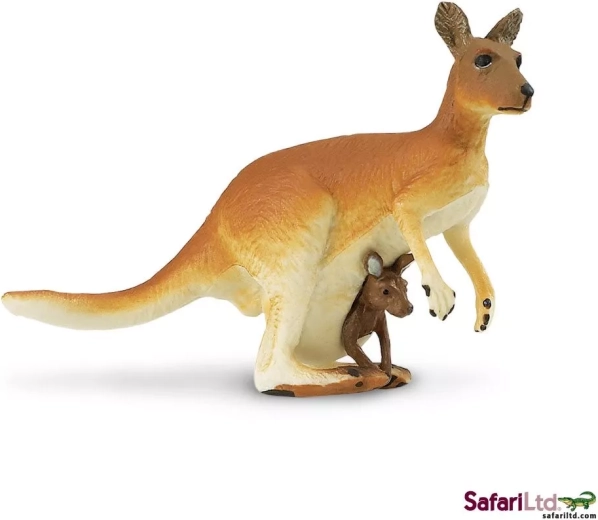 Kangourou avec son petit