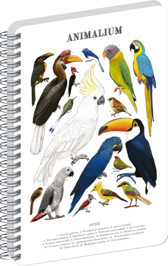 Bloc-notes à spirale Notique Animalium – Oiseaux, pages blanches, A4