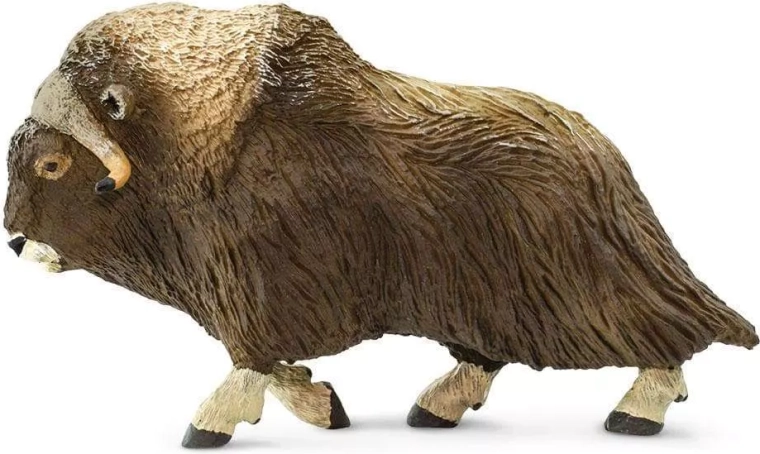 Safari Ltd. figurine de bœuf musqué
