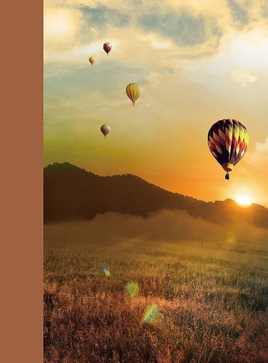 Album photo CONCORDE DRS 30 avec pages autocollantes (30 feuilles)