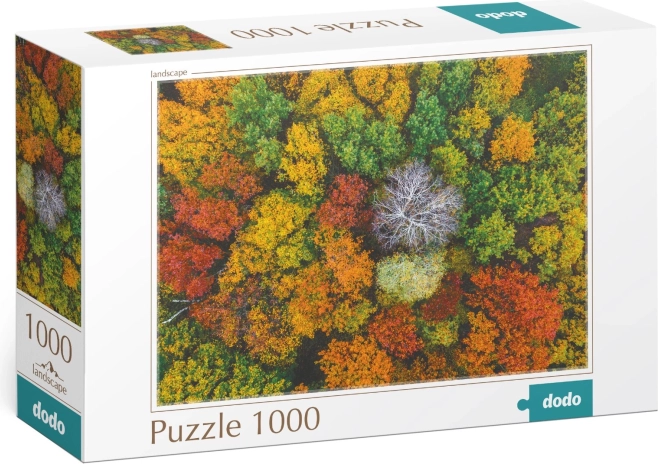 Puzzle DODO Dzembronya, Ukraine – 1000 pièces