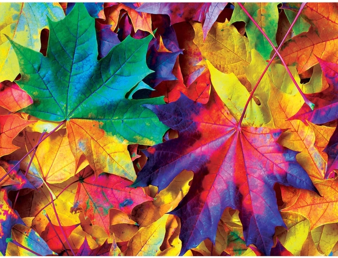 Puzzle Masterpieces Automne coloré 550 pièces