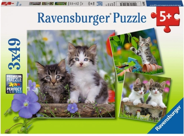 Ravensburger puzzle chatons 3×49 pièces