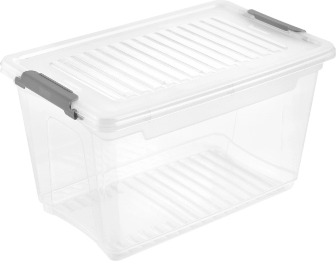 Boîte de rangement en plastique avec couvercle Leonie 5,4 l