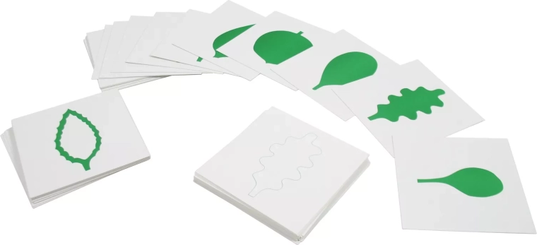 Cartes – formes de feuilles