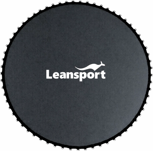Toile de saut pour trampoline 14 ft 427–435 cm