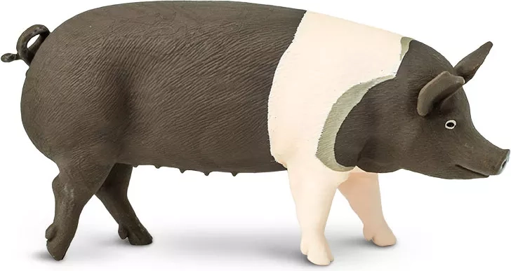 Figurine de cochon Hampshire Safari Ltd. - 1 pièce