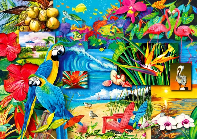 Profitez du Puzzle Trésors Tropicaux 1000 pièces