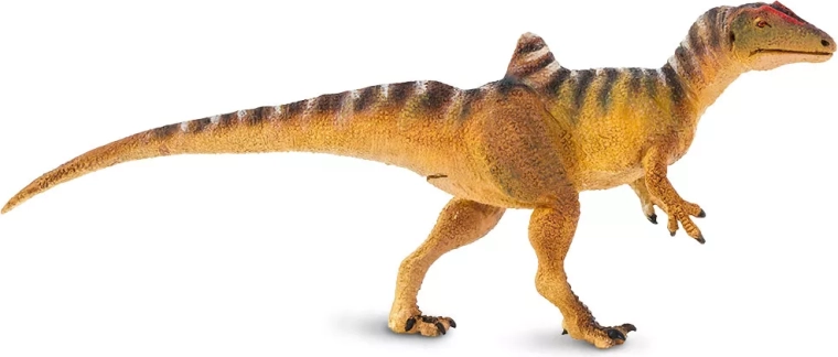 Figurine de dinosaure Concavenator Safari Ltd. - 1 pièce