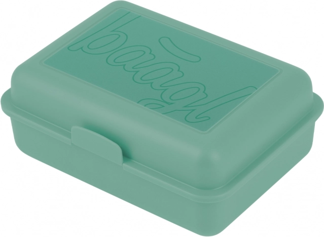 Boîte à déjeuner verte