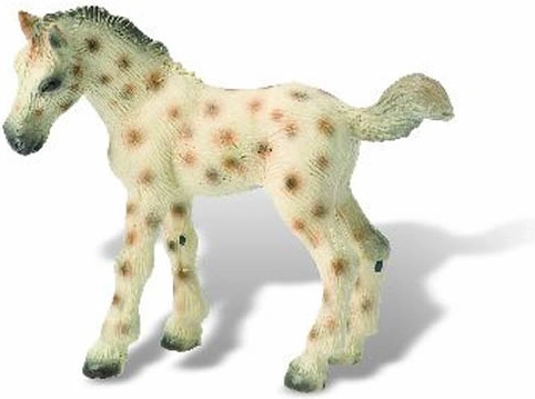 Poulain Knabstrupper