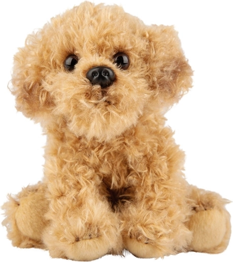 Peluche chien Labradoodle