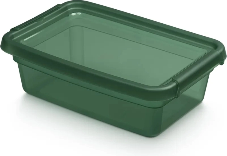 BASESTORE boîte de rangement en plastique avec couvercle et clips 3 l PINE