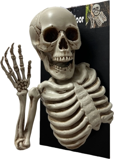 Accessoires de fête squelette joyeux