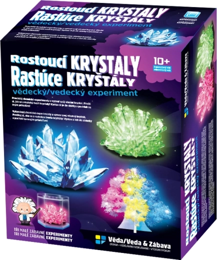 Kit de culture de cristaux pour enfants