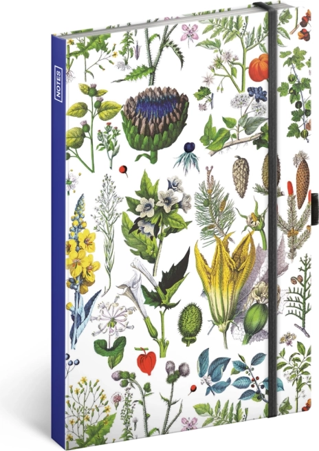 Carnet Herbes de Kateřina Winterová, à points, 13 × 21 cm