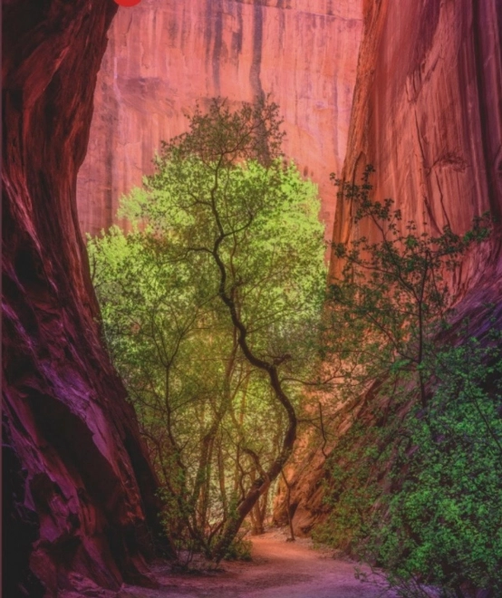 Puzzle 1000 pièces – canyon