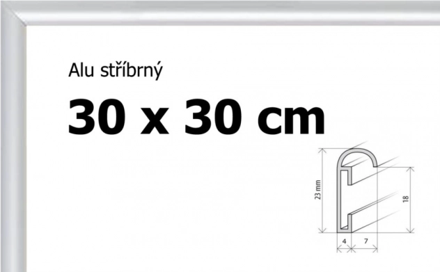 Cadre en aluminium 30x30 cm couleur argent