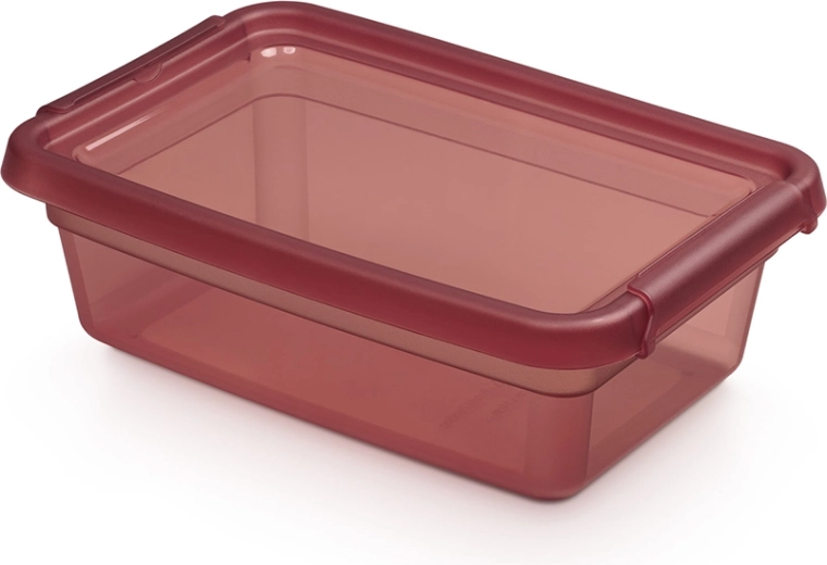 Basestore boîte de rangement avec couvercle et clips 3 l, 19 × 28 × 9 cm, Rhubarb