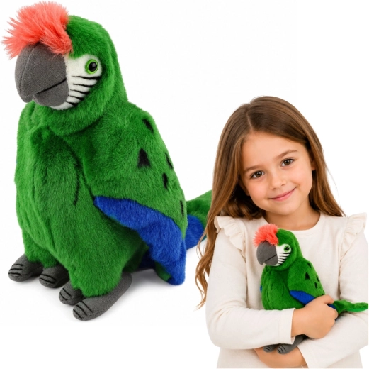 Perroquet ara en peluche – vert 24 cm