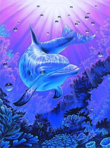 Norimpex peinture par numéros Dauphin 40 × 50 cm