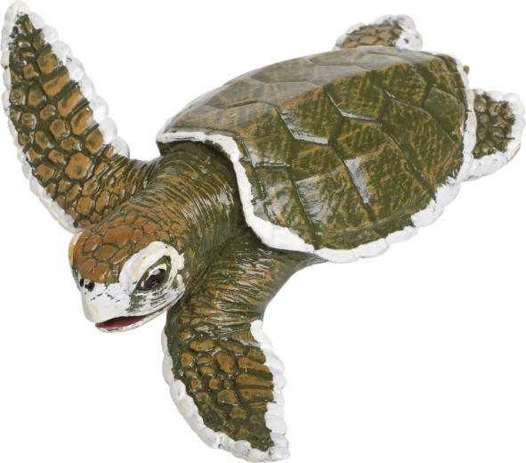 Bébé tortue caouanne - 1 pièce