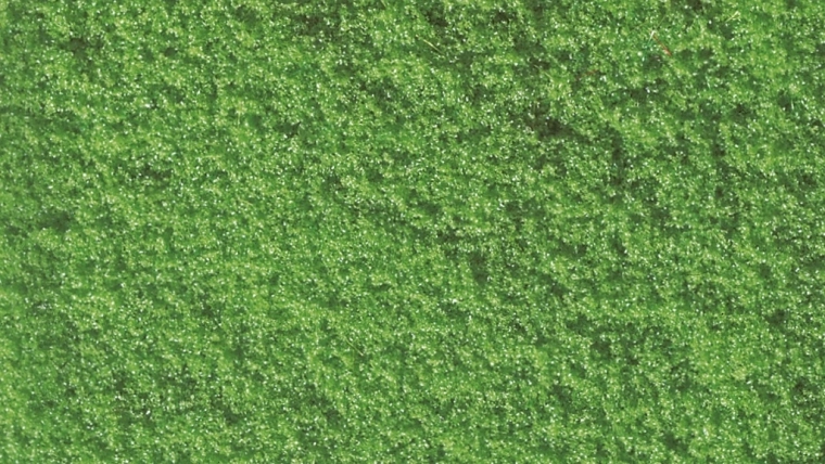 Flocons de mousse saupoudrables NOCH vert clair