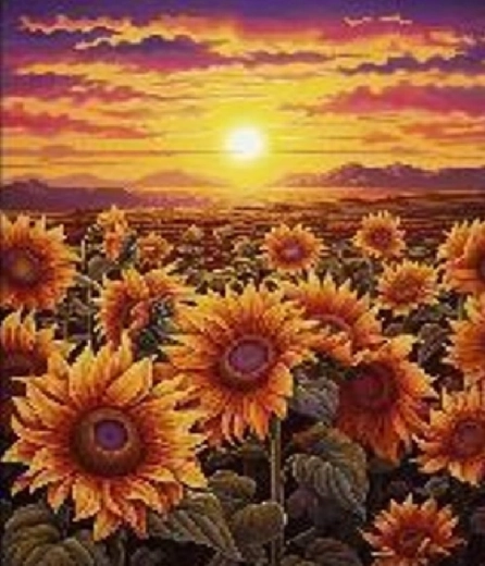 Peinture diamant coucher de soleil parmi les tournesols 30 × 40 cm