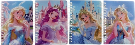 Carnet princesse