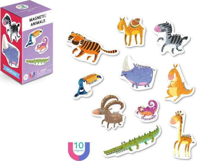 Jeu magnétique Animaux - DODO