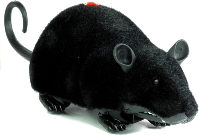 Grande souris télécommandée R/C noire sur roulettes