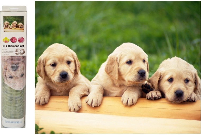 Mosaïque diamant Chiots labradors - 1 pièce