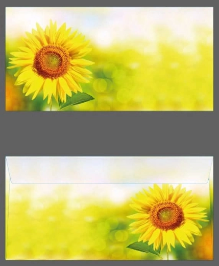 Enveloppe colorée DL avec tournesol