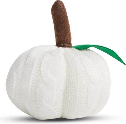 Décoration de citrouille blanche pour Halloween
