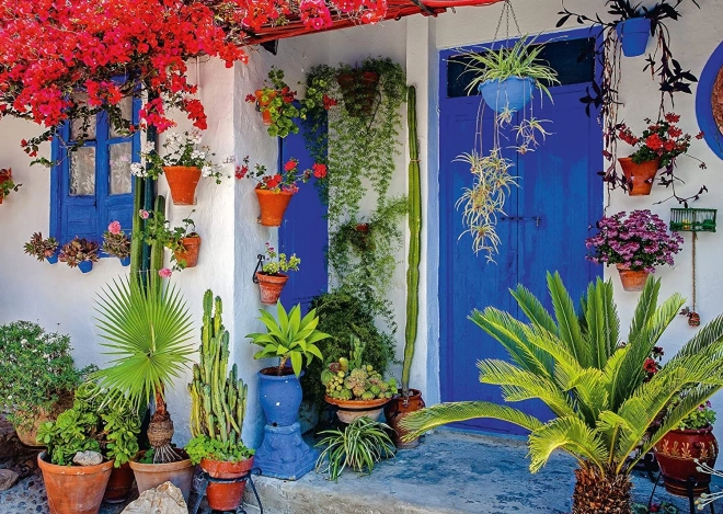 Puzzle Schmidt Portes méditerranéennes 1000 pièces